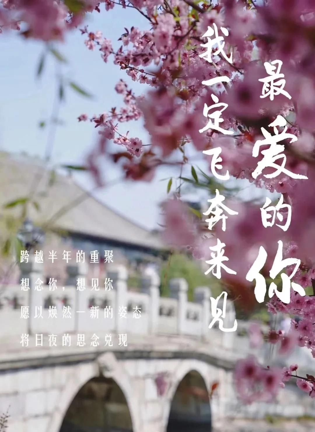 北大工商管理總裁班
