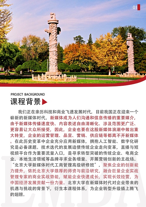 北大新媒體